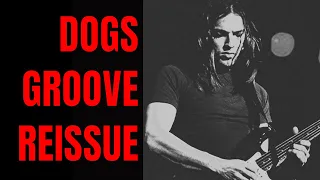 Dogs Groove Pink Floyd Style Jam Track Guitar Backing Track (D Minor)