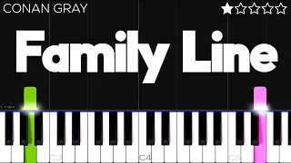 Conan Gray - Family Line | EASY Piano Tutorial