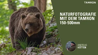 TAMRON 150-500mm F/5-6.7 - Naturfotografie in Slowenien zu den Bären