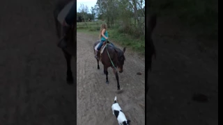 makenzie riding gypsy