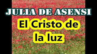 Julia de Asensi/El Cristo de la luz/El loro hablador