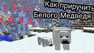 КАК ПРИРУЧИТЬ БЕЛОГО МЕДВЕДЯ В МАЙНКРАФТЕ || КАК ПРИРУЧИТЬ ЖИВОТНОЕ В МАЙНКРАФТЕ ||MINECRAFT PE