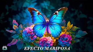 Just listen and attract miracles to your life - you are ready for a better life - butterfly effect