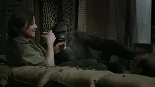 A melhor cena de 'Planeta dos Macacos - O Confronto'