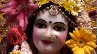 Aindra Das - Hare Krishna Kirtan At Sri Vrindavan Dham 03