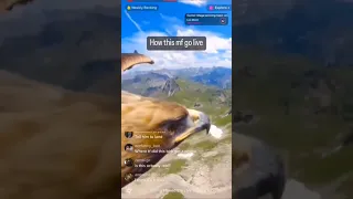 EAGLE goes LIVE | #memes #meme #eagle #live #livestream #instagram