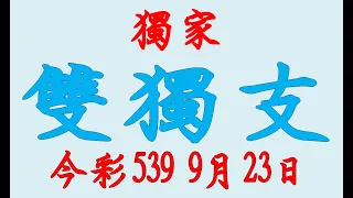 【今彩539神算】9月23日 上期中18 20 35 今彩539 雙獨支