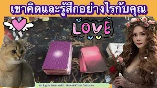 ดูดวงความรัก 💕Random เขาคิดและรู้สึกอย่างไรกับคุณตอนนี้🪬🦋