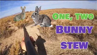 Epic Rabbit Hunting with .410 Shotgun & Making Rabbit Stew!