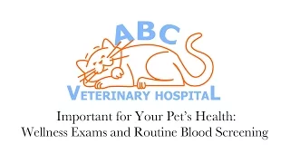 Diagnostic Lab Work | Veterinary Hospital San Marcos CA