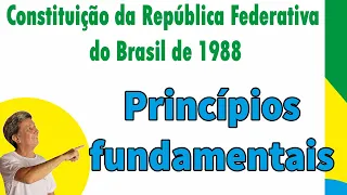 Princípios fundamentais da Constituição da República Federativa do Brasil de 1988