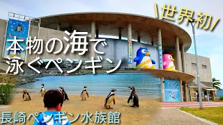 【長崎】必見！ペンギン好きならココで決まり！【ペンギン水族館】