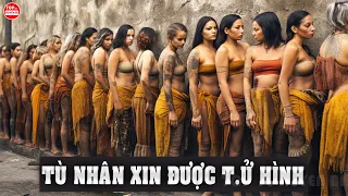 Bên Trong 7 Nhà Tù Nguy Hiểm Và Đáng Sợ Nhất Thế Giới Tội Phạm Khét Tiếng Nhất Cũng Phải "Quẫn Chí"