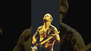 Tim Commerford's best bass lines