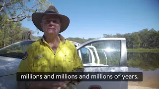 Discover Wollemi National Park's unique species |#NSWParks Ranger Story