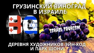 Israel tourism - север израиля  деревня художников Эйн-ход и парк Шони Беньямина