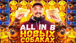 Занёс в Новых собаках All In The Dog House – Dog or Alive Мегазанос Заносы в Казино Заносы Недели