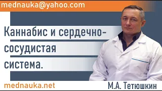 Каннабис и сердечно-сосудистая система.