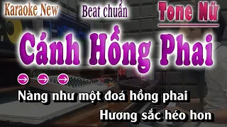 Cánh Hồng Phai Karaoke Tone Nữ Beat Chuẩn Nhạc Sống song nhien karaoke
