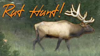 Rut CRAZY bulls! Elk Hunting Colorado (Eastmans’ Hunting TV)