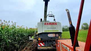 Fiatagri 100/90 e Claas Jaguar 850 - PURE MOTOR SOUND