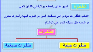 6 - الطفرات 2020