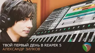 Твой первый день в Reaper 5 [Нескучный Саунд]