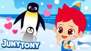 Animal Dads🐧 | I Love You the Most in the World💙 | Daddy Animals | Animal Songs for Kids | JunyTony