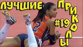 Лучшие приколы #19 ║ Coub & Fails video