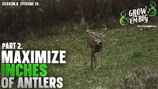 Maximize the Antler Size of Whitetails on Your Land | Part 2