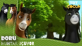 DORU | MUHTAR UÇUYOR