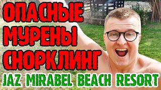 Jaz Mirabel Beach 5* - 3 серия. Коралловый риф. Ужин. Шоу. Магазины в отеле. Выселяемся.