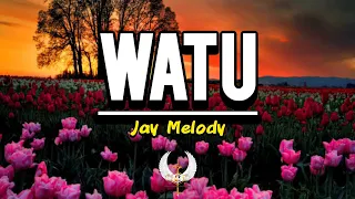 watu jay melody lyric video.