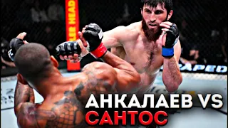 Магомед Анкалаев vs Тиаго Сантос / Лучшие Моменты (HD)