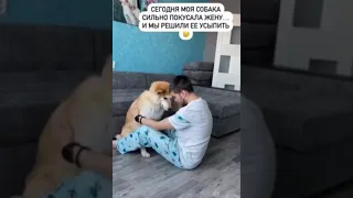 Сегодня моя собака сильно покусала жену... И мы решили ее усыпить.