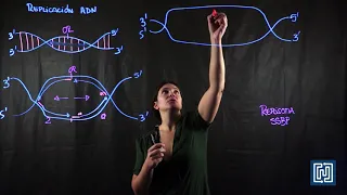 proceso de replicación del ADN