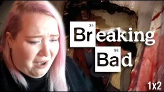 Breaking Bad 1x2 "Cat's In The Bag..." REACTION