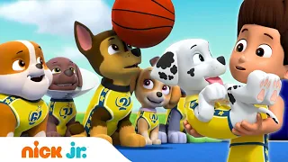 Щенячий патруль | Щенки играют в баскетбол | Nick Jr. Россия