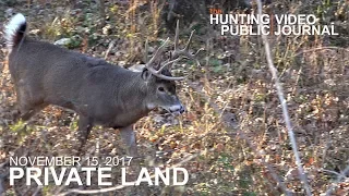 Private Land: Nov. 15 - Insane Buck Fight, 5 Yard Bow Kill | The Hunting Public