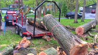 Loading A 3,500lbs Pin Oak Log Using A Log Arch!