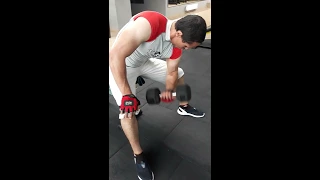 Triceps - Трицепс - الترايسيبس & Biceps - Бицепс - بايسيبس