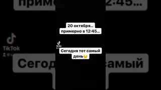 День воспоминаний Симбочки Старшего…🥺😔