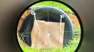 Zeroing the PARD DS35 and setting up Ballistics