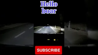 【Wild boar crashes】#Shorts #Dashcam