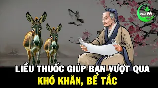 Khi Bế Tắc, Mệt Mỏi Hãy Nghe 5 Câu Chuyện Khai Sáng Trí Tuệ, Đây Là Liều Thuốc Giúp Bạn Vượt Qua