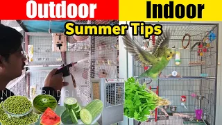 How to Care of Birds in Summer | Birds Care Tips Outdoor/Indoor Cage & Colony Setup