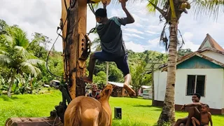 FIJI Village Life - Cant mount the horse….plus the Cassava Farm & Horse Riding 🇫🇯