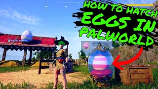 How to HATCH EGGS in PALWORLD!!! EGG Guide