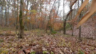 Alabama Bigfoot A New Year Investigation and Mann Hunters Camp again!