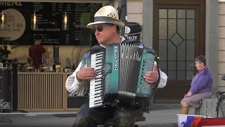 Street Musician 1